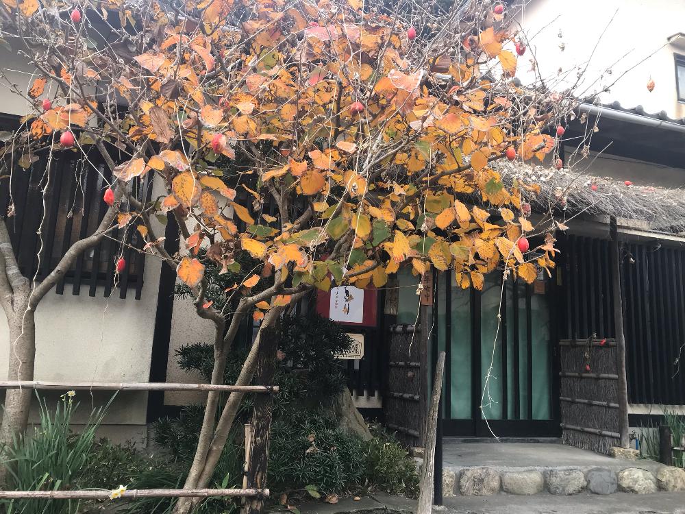 お出かけ先の画像 by ムーミンさん | お出かけ先と鎌倉散策と師走ですね。と北海道頑張ってください