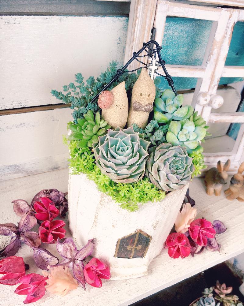 バルコニー/ベランダの画像 by はなさん | バルコニー/ベランダと多肉の寄せ植えと紅葉する多肉とエケベリアさん達と冬越し多肉とタニラーとバルコニスト