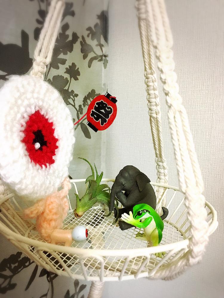 部屋の画像 by まかろんさん | 部屋と全国オヤジ連合会No.11とHTCとaoちゃんのプラハンと植物のある暮らしとうつくしま福島と今日も笑顔でとキュンキュン乙女倶楽部No.58と素敵な出会いに感謝とがんばろう福島と笑顔になれる♪と花のある暮らしと被災地にエールを…。と〆のオヤジ祭り
