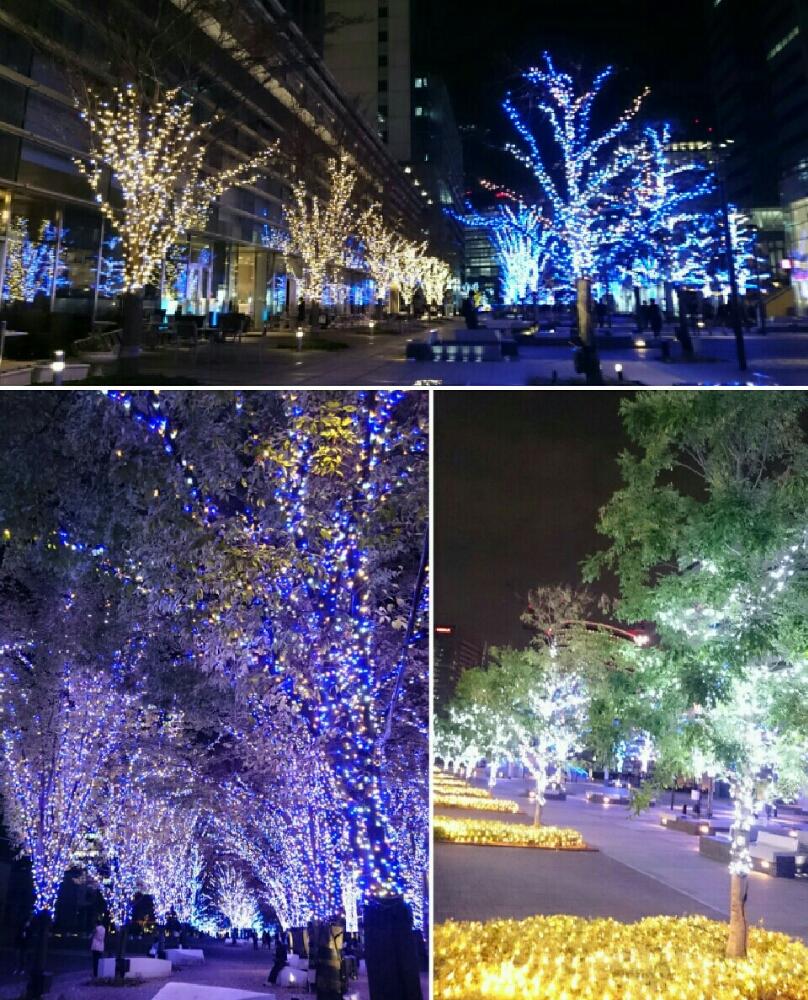 お出かけ先の画像 by 麦わら帽子さん | お出かけ先とイルミネーション。とみなとみらいとクリスマスツリーとイルミネーションとキラキラ✨といつもありがとう♡とお写んぽとGS映えと横浜とGS日和と今日の一枚と神奈川県とライトアップと神奈川県の風景と神奈川の風景とクリスマスとバルコニスト