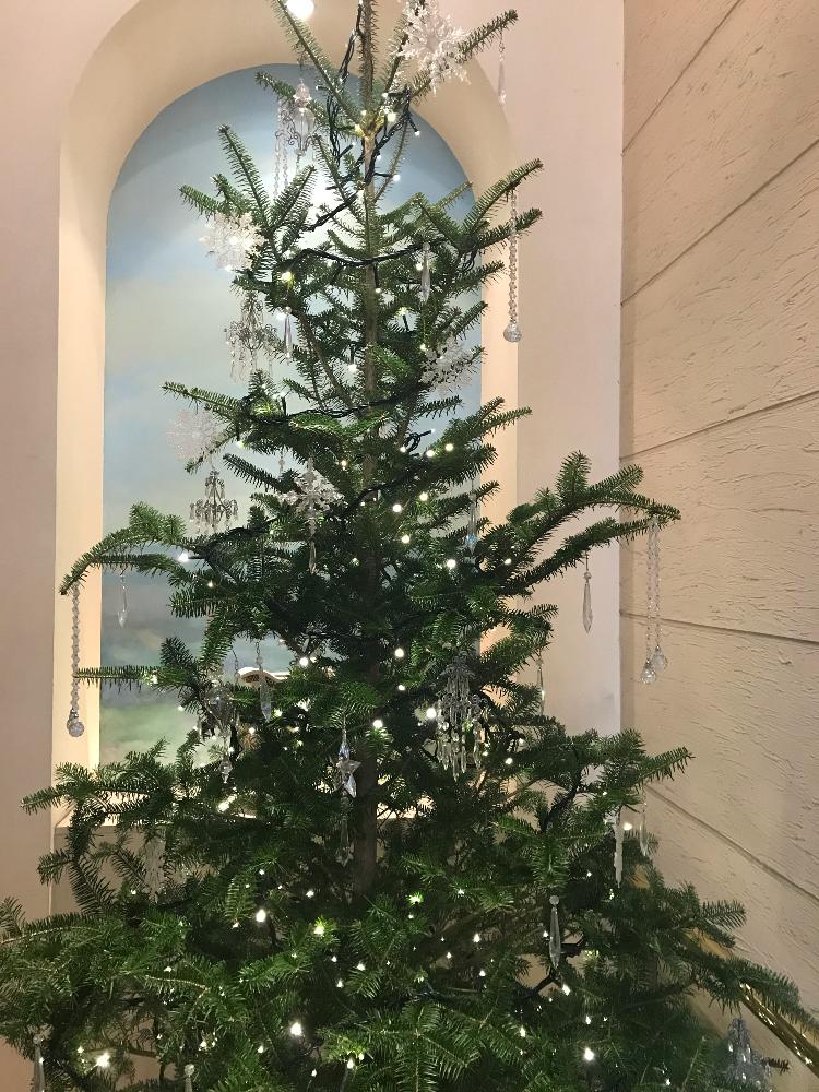 お出かけ先の画像 by ムーミンさん | お出かけ先と師走ですね。ともうすぐクリスマスと北海道頑張ってください
