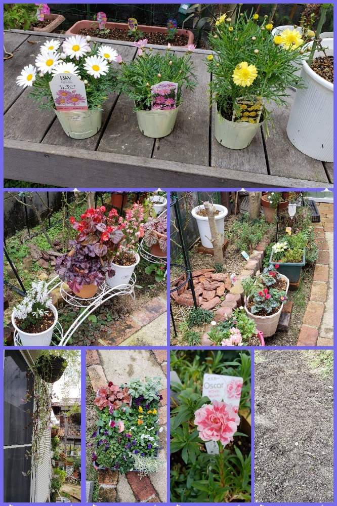 小さな庭の画像 by 天空のバラの五線譜さん | 小さな庭と花の香りと寄せ植えとお花療法と祈りと心の中の花と花のある暮らしと色彩の心と花色癒しと里山のある暮らし