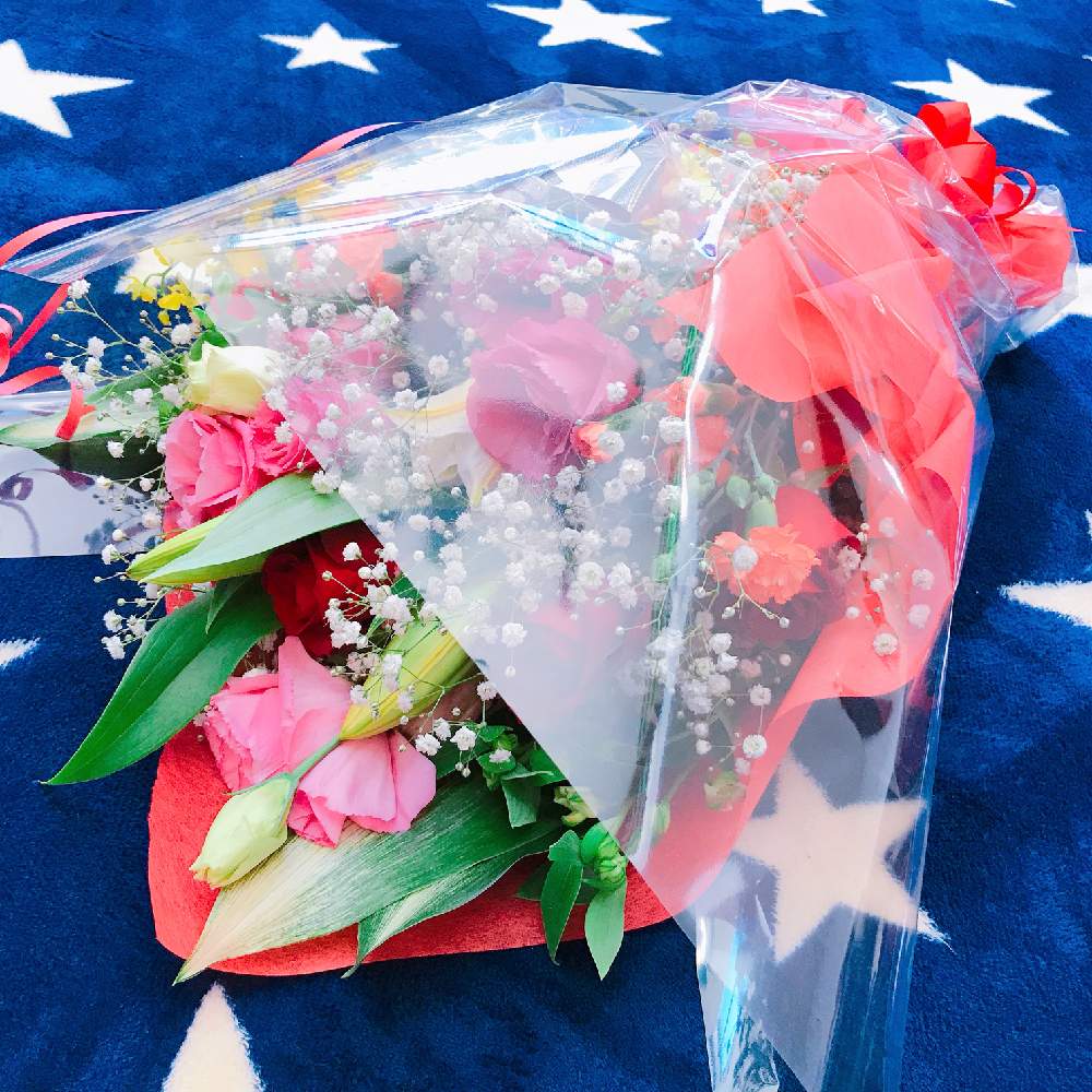 の画像 by yosshi さん | 多肉植物と#多肉植物と#小さな庭と多肉に癒されるとタニク初心者とひとり言