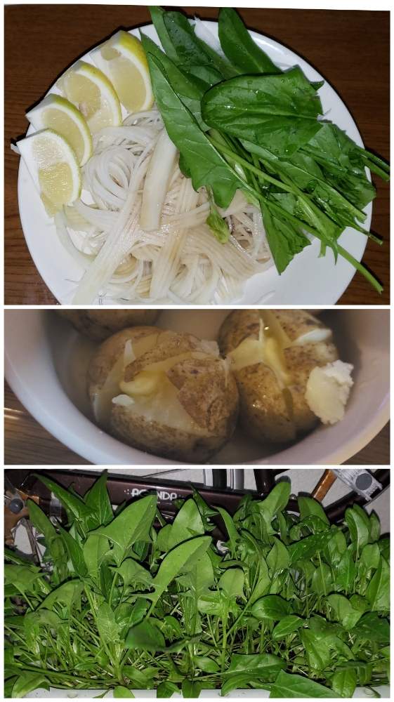 キッチンの画像 by あやめさん | キッチンとジャガイモとほうれん草 冬ごのみとほうれん草 冬ごのみとレモンと家庭菜園奮闘日記とホウレンソウ冬ごのみ