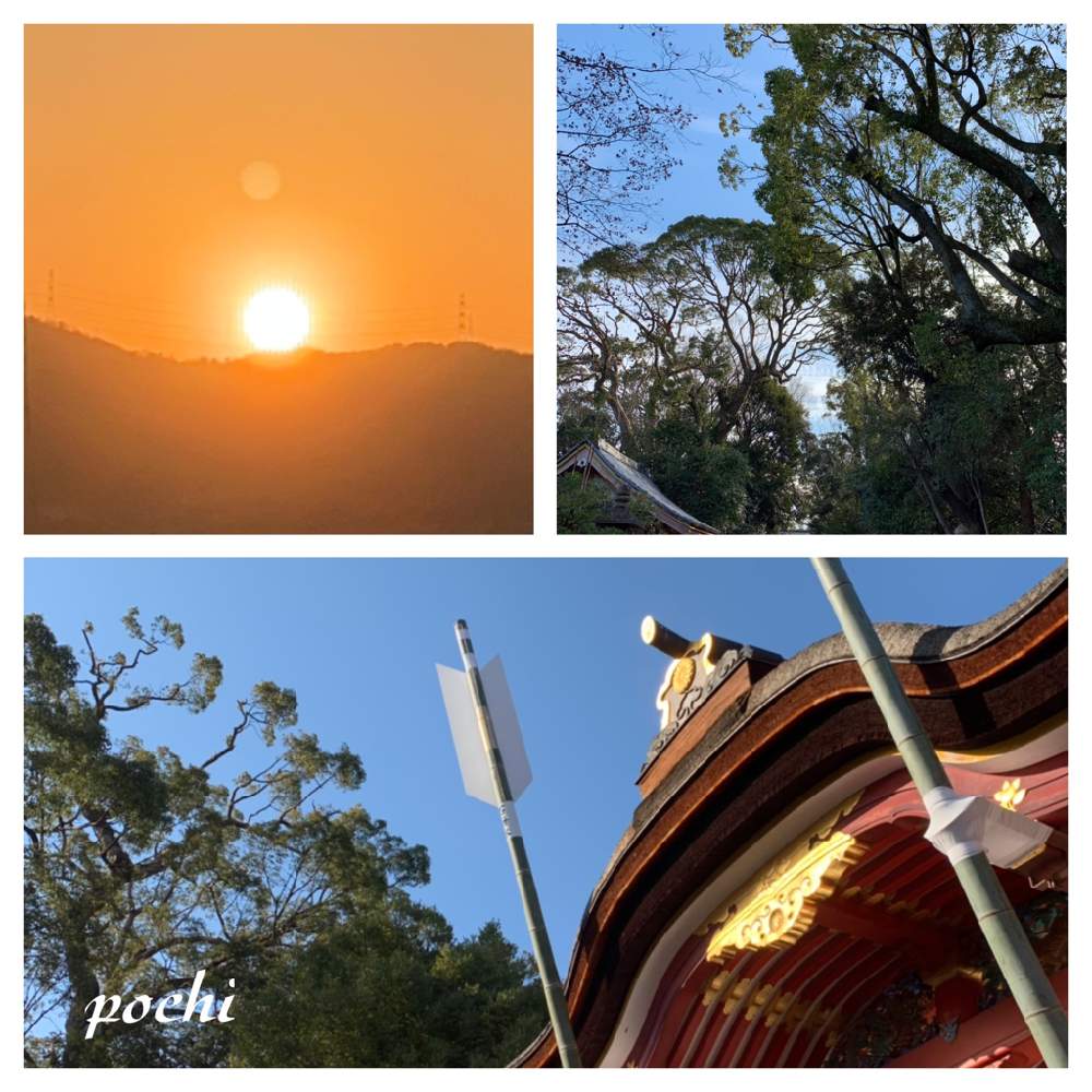 お出かけ先の画像 by ポチ音さん | お出かけ先と国宝と京都府とGS映えと石清水八幡宮と楠木パワーと京都と平成の風景