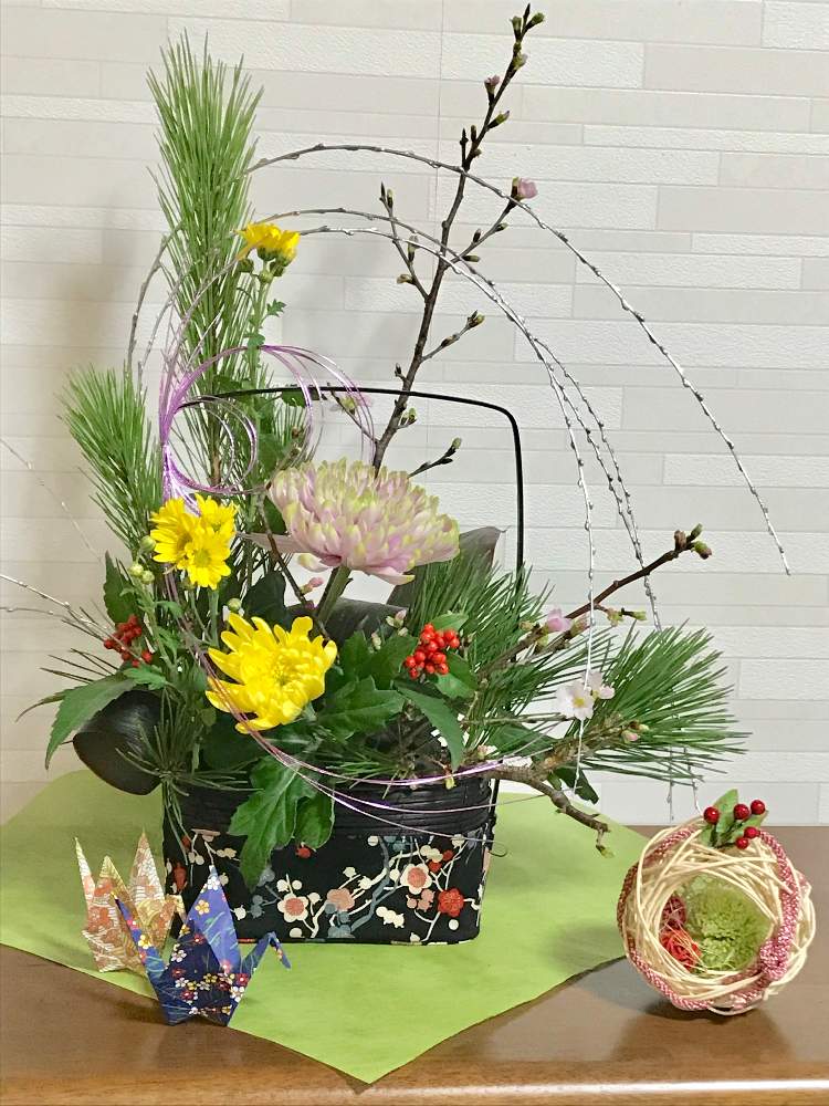 インテリアの画像 by ブラックベリーさん | インテリアと水引き♪とお正月アレンジとフラワーアレンジメントと花のある暮らしとCAINZお正月迎春切花コンテスト