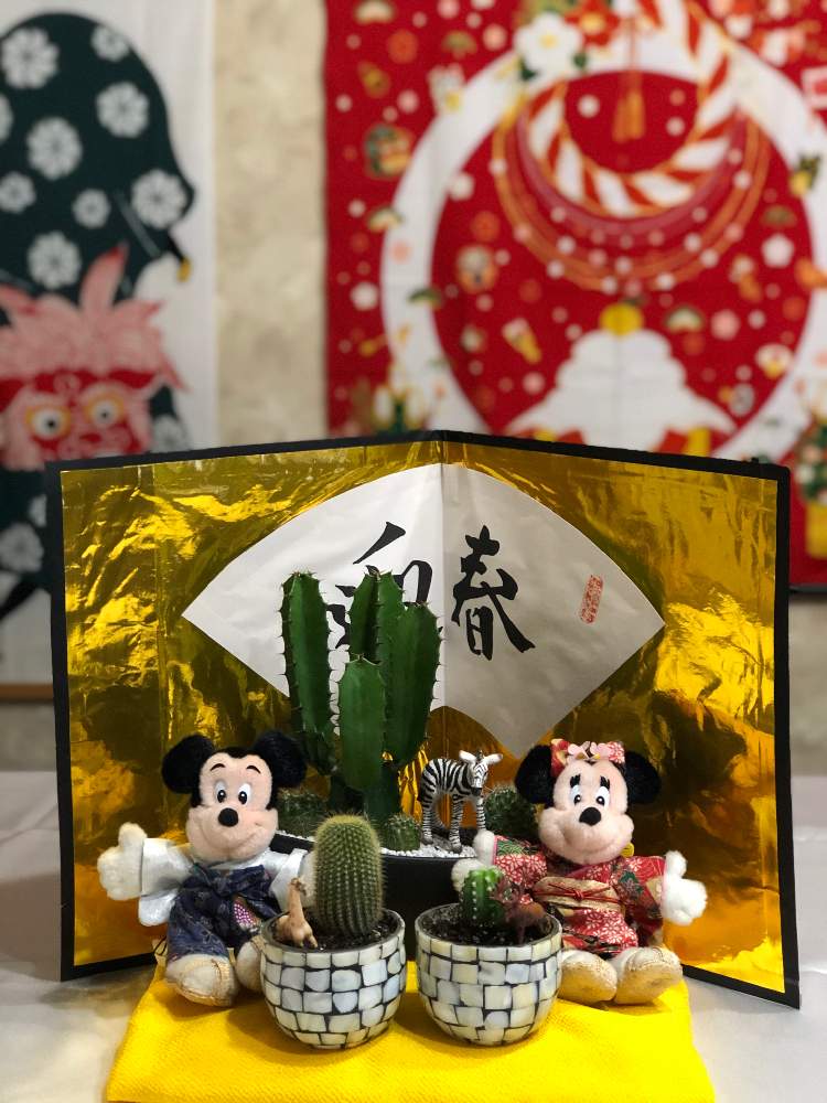 部屋の画像 by makipiさん | 部屋と着物ミッキーとミニーとサボテン小鉢とお正月用と今日の一枚とサボテンの寄せ植え