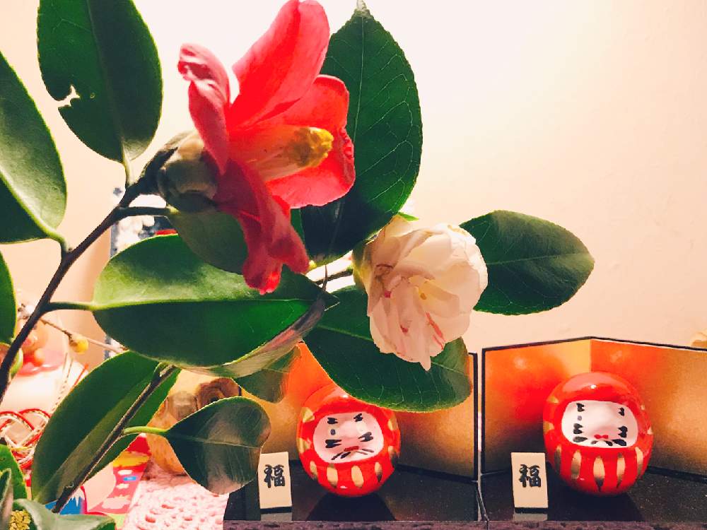 玄関の画像 by ミッチさん | 玄関とだるま祭りと福だるまさんと花のある暮らしとお正月っぽくと願いを込めて