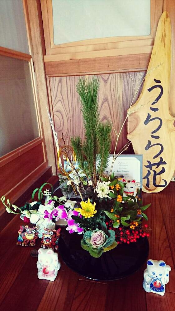 部屋の画像 by うらら花さん | 部屋とIKEBANAと日本の文化と華道と♯葉牡丹とflowersとGS映えとデンファレの花と池坊と自由花といけばなと花のある暮らしとお花とJapanesecultureと松 千両 万両とCAINZお正月迎春切花コンテスト