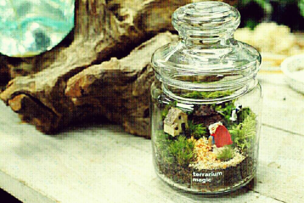 インテリアの画像 by terrarium magicさん | インテリアと植物のある暮らしと苔 (コケ)と癒しとミニチュアと癒しの植物とGS映えとインテリアと植物と緑のある暮らしと苔のある風景と苔テラリウムと緑のある生活と苔好きとおうちで自然を感じるとインテリアグリーンとグリーンと明けましておめでとうございます