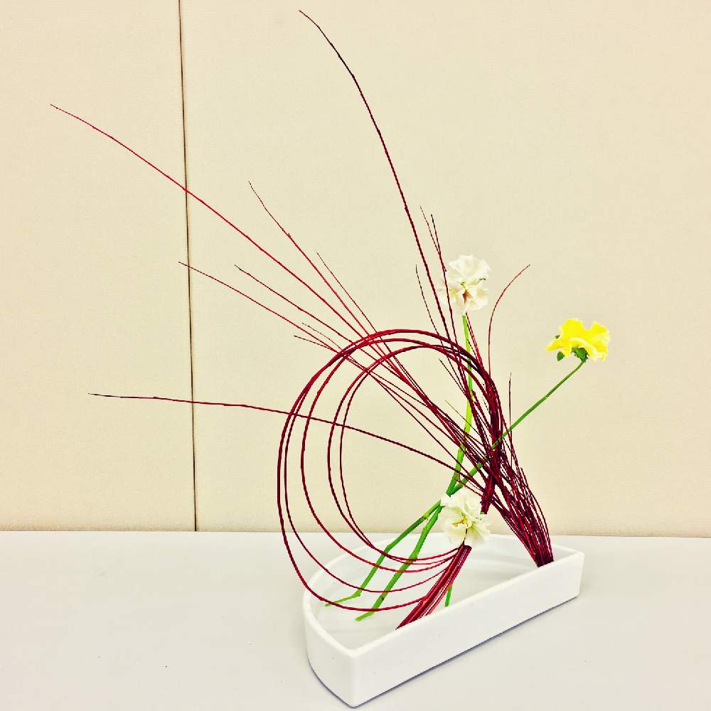 部屋の画像 by apricot53さん | 部屋とレッドウィローとパンジーとお正月飾りと植物のある暮らしと世界らん展フォトコンテストといけばなとフラワーアレンジメントと花のある暮らしと切り花と生け花