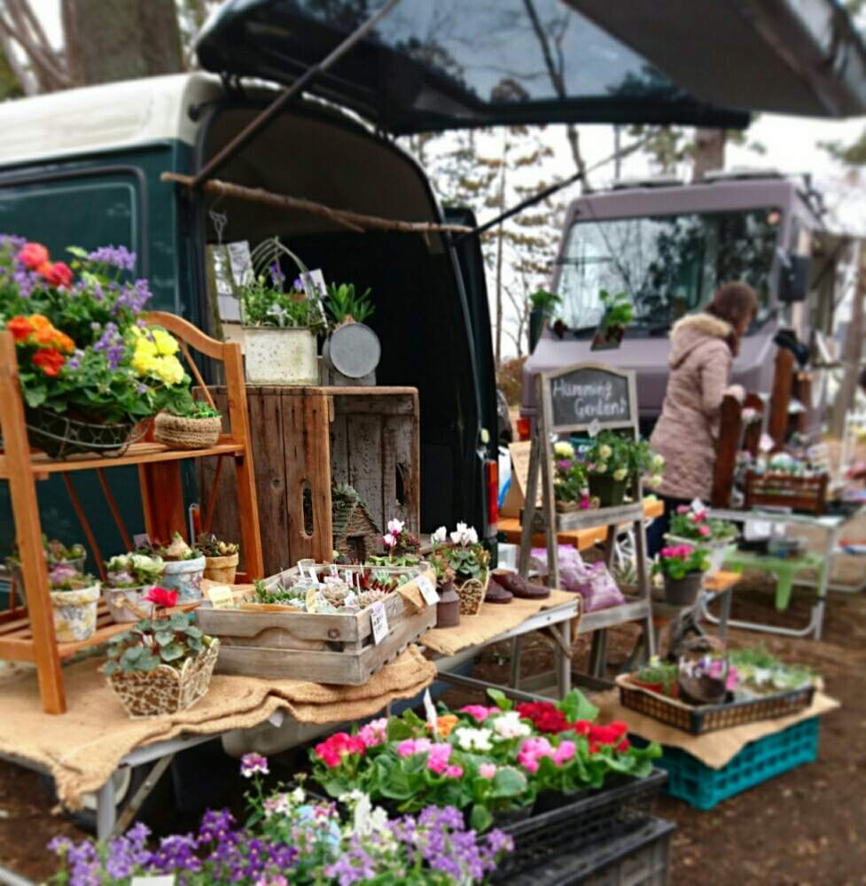 お出かけ先の画像 by Humming Garden♪さん | お出かけ先とハンギングバスケットと寄せ植えと多肉植物寄せ植えとナチュラルガーデンとベランダガーデンとイベント出店とお花の寄せ植えと今日のお花とコンテナガーデンと庭仕事とガーデニングとアウトドアリビングと花の寄せ植え