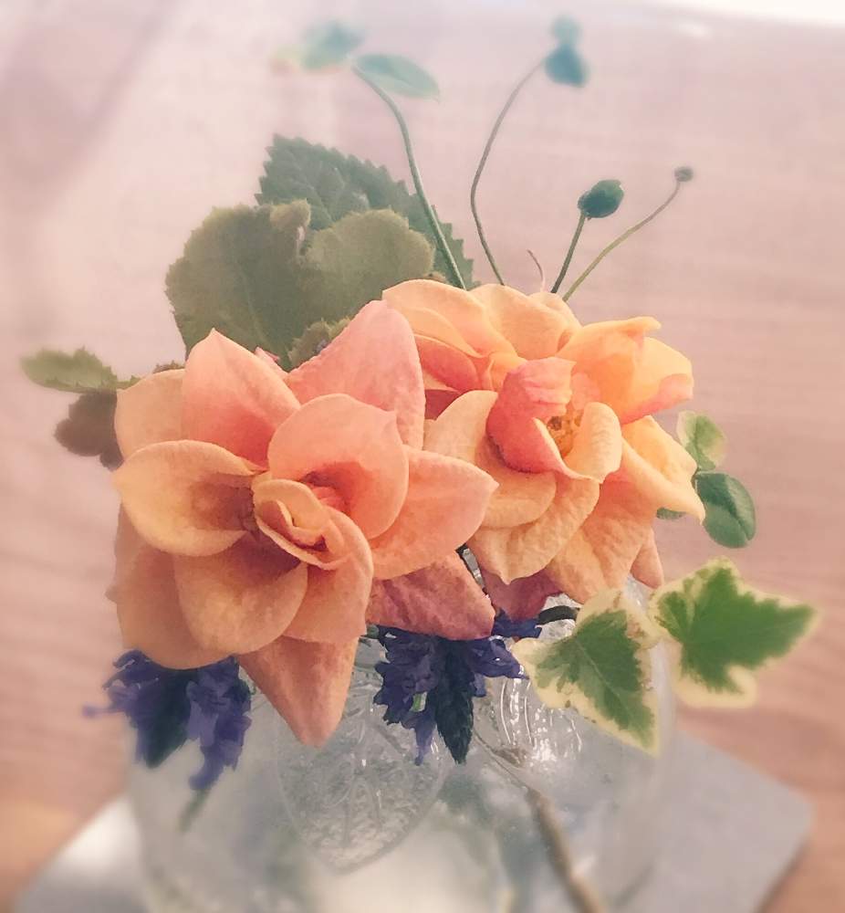小さな庭の画像 by のんきママさん | 小さな庭とミニ薔薇 名前不明とラベンダーとアイビー(ヘデラ)とクローバーと季節を感じる♪と今日の一枚とフラワーアレンジメントと花のある暮らしと癒され空間とバラを楽しむと咲いた!