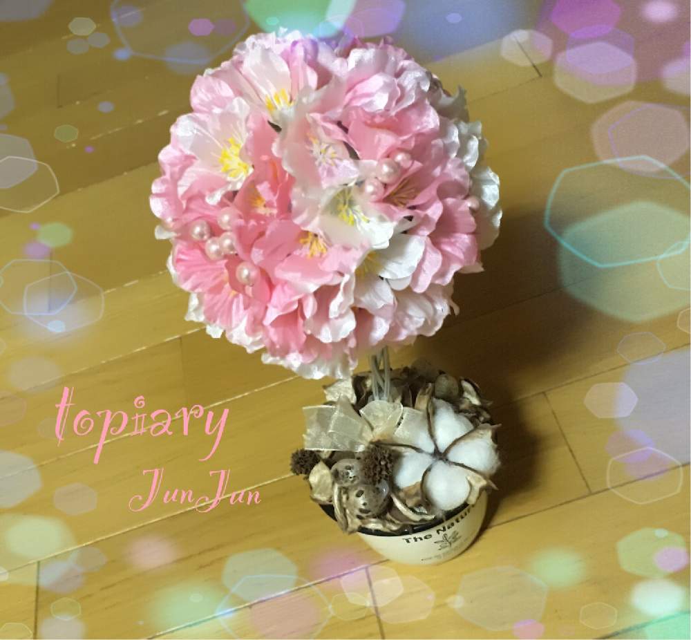 部屋の画像 by Jun♡Junさん | 部屋とキュンキュン乙女倶楽部とピンク同盟と㊗️二周年記念投稿と西日本豪雨で被災された皆様頑張ってと北の大地北海道と庭のある暮らしと始めての挑戦と花のある暮らしと桜をイメージ❣️と夫婦で庭創り♡とこんばんは☆と繋がりに感謝✨と記録用とHTC 64