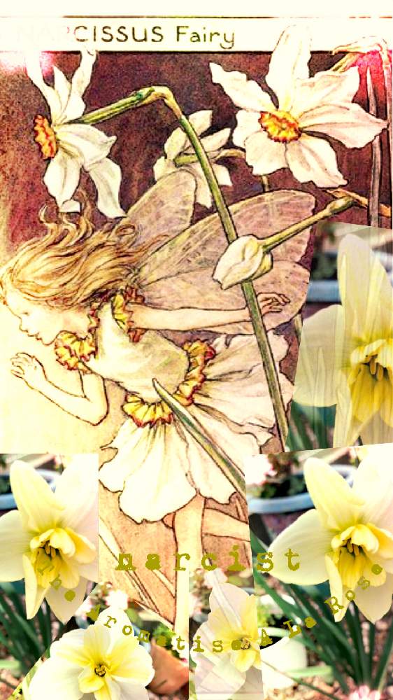部屋の画像 by イングリッシュガーデンさん | 部屋とスイセンとイギリスが誇る生きる絵画とGS映えとイギリス寓話とイギリスと挿絵画家とpicコラージュとイギリスのお花と花のある暮らしとシシリーメアリーパーカー