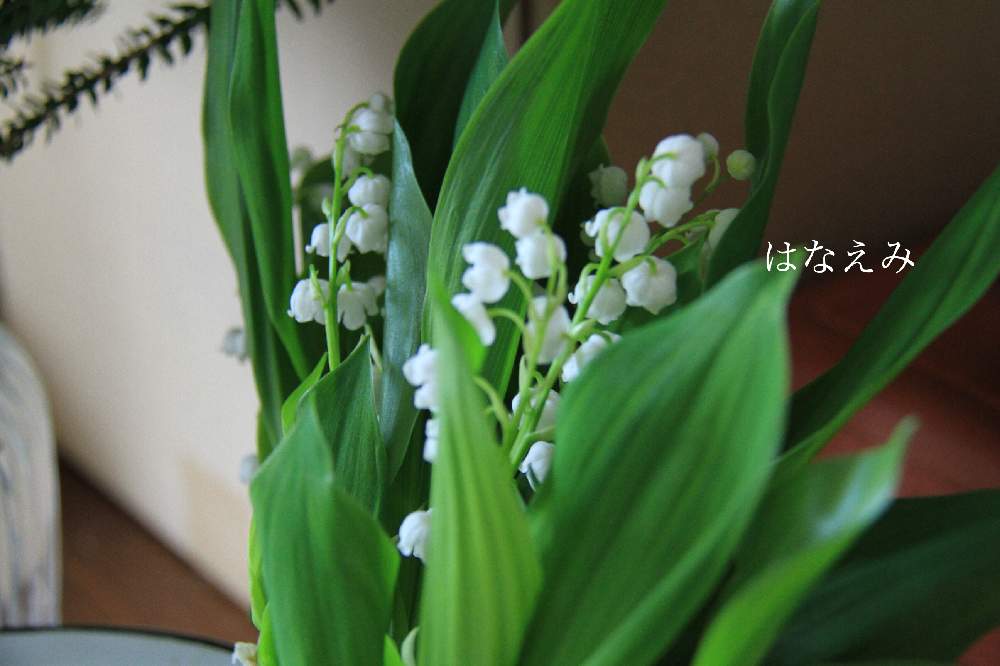 インテリアの画像 by はなえみさん | インテリアと ミモザと湘南とフレッシュと春のお花と爽やかなGreen。とはなえみと神奈川県茅ヶ崎。とイベント出店と今日の一枚と今日のお花と可愛い〜♡とリースと爽やかな彩りと素敵な出会いに感謝とナチュラルスタイルとゆるキャラ倶楽部と花のある暮らしと爽やかな色と楽しいひと時