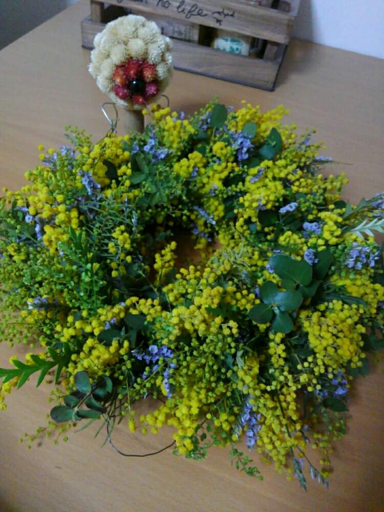 部屋の画像 by みほっこさん | 部屋とミモザとセンニチコウとHTCとスイートピー生産者と早起き倶楽部と花農家とウィンター祭りとゆるキャラ倶楽部と千日紅のオヤジ様とHTC 社員No.206