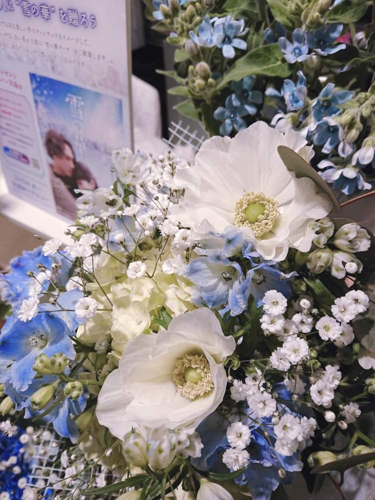 アプローチの画像 by フラワーショップ京王 吉祥寺店さん | アプローチとキラリナとこの冬のアネモネと雪の華♡と青い花とフラワーショップ京王吉祥寺と凛としてと花のある暮らしと白い花
