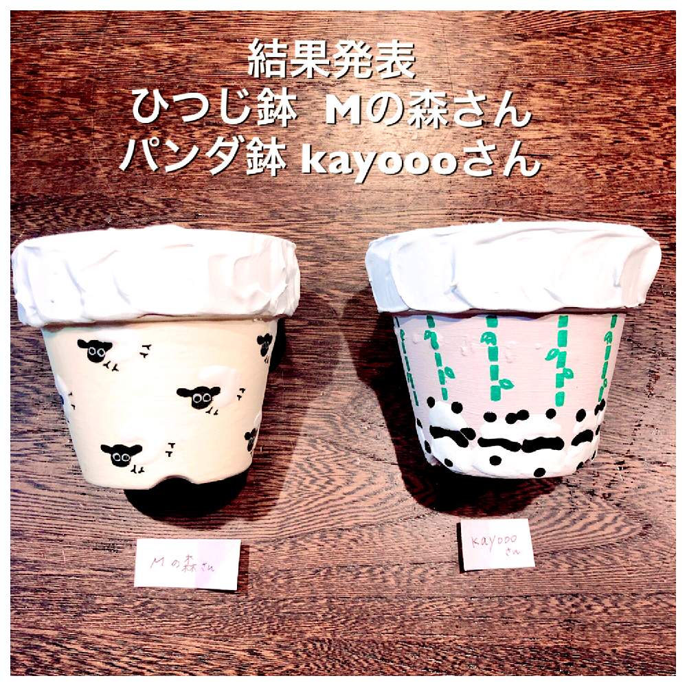 キッチンの画像 by コニー✨さん | キッチンと多肉植物とひつじ鉢と外さむい〜 ^ ^と植中毒とHTCゲリラプレ企画とリメ鉢と多肉女子と可愛い〜♡とタニラーと可愛いとたにおたくらぶとパンダ鉢