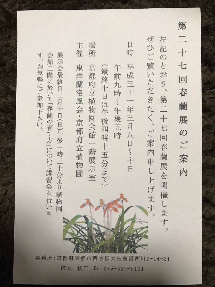 お出かけ先の画像 by いろはさん | お出かけ先とラン科と山野草と植中毒とシュンラン属と春蘭展と東洋蘭と京都府立植物園と野生ラン
