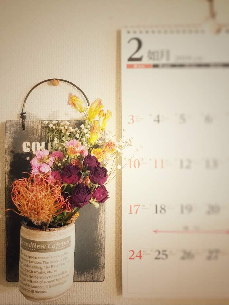部屋の画像 by ふみにゃんさん | 部屋とドライフラワーいろいろとHTCとmy gardenとドライフラワーとよろしくね♡とありがとう♡とHTC No60とB型とHTCゲリラプレ企画とリメ缶・リメ鉢としあわせ♡と素敵な出会いに感謝とハンドメイドと極小ガーデンとHTC社員と潤い欲しい