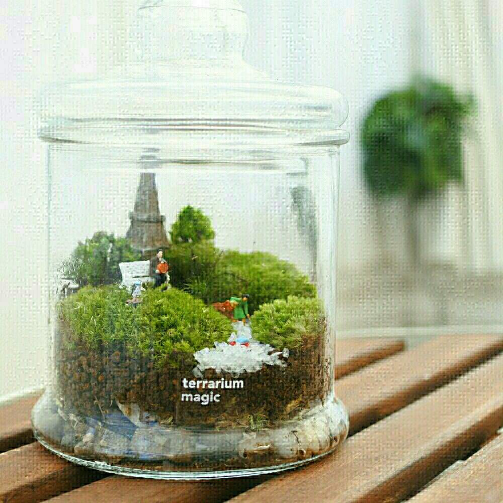 インテリアの画像 by terrarium magicさん | インテリアと植物のある暮らしと苔 (コケ)と癒しとミニチュアと癒しの植物とインテリアと植物と緑のある暮らしと販売用と苔のある風景と名古屋市と苔テラリウムと緑のある生活と苔好きとおうちで自然を感じるとインテリアグリーンとグリーン