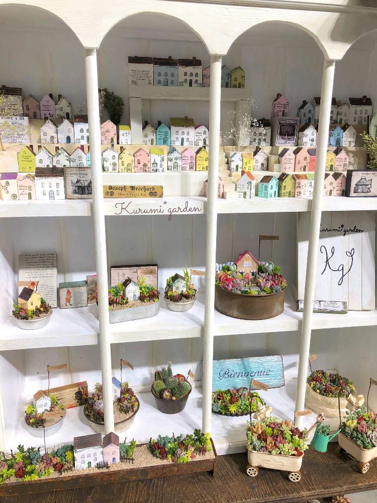 お出かけ先の画像 by くるみ*さん | お出かけ先と箱庭と多肉植物の寄植えと世界ラン展とお誘いと多肉植物寄せ植えと多肉植物のある暮らしと世界らん展2019とくるみピックと小さな世界とKurumi*gardenと世界らん展と東京ドーム