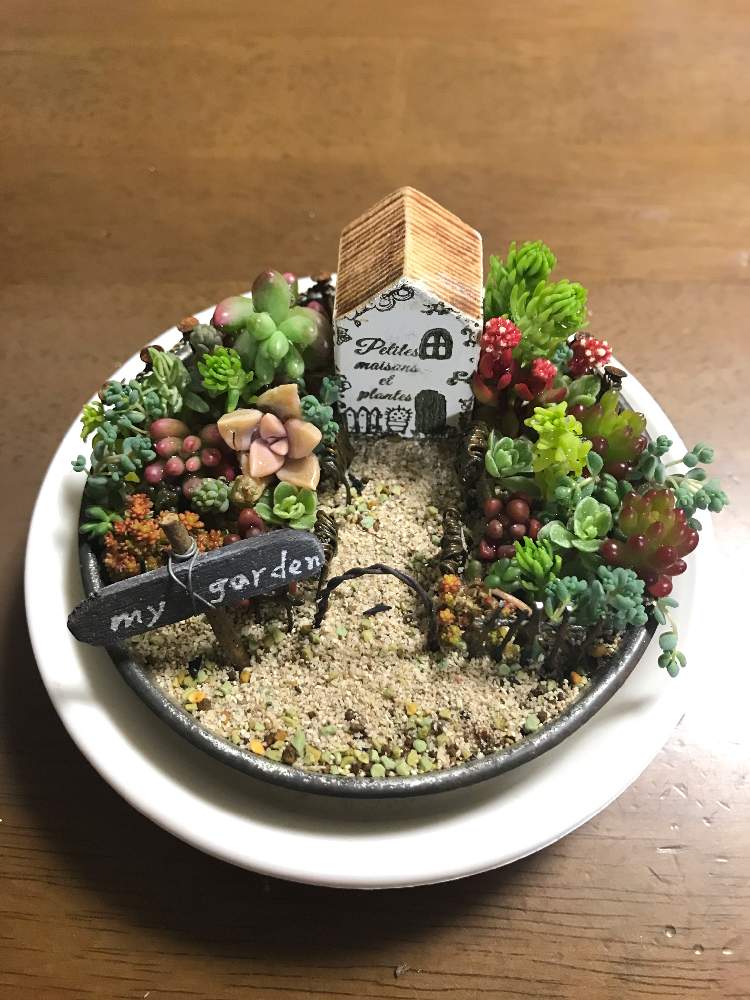 バルコニー/ベランダの画像 by ひろりんさん | バルコニー/ベランダと多肉植物の寄植えと多肉植物とくるみさんの箱庭とワークショップに行ってきましたと世界ラン展と寄せ植えとくるみさんのWSと多肉ワークショップと世界らん展2019とくるみさんのWS❤️と多肉女子と多肉植物の寄せ植え♡とタニラーとkurumiさんのワークショップとKurumi*gardenとワークショップ と多肉寄せ植えワークショップと世界らん展とバルコニスト