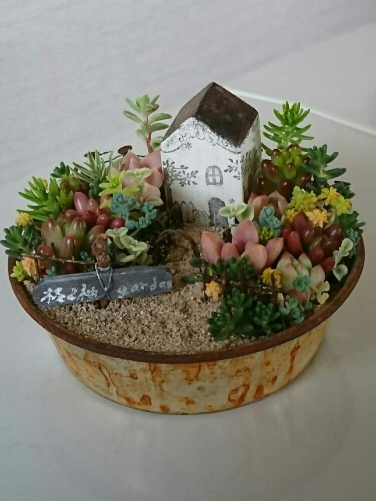 部屋の画像 by 花ちゃんさん | 部屋とくるみさんのWS❤️と花のある暮らしと世界らん展2019と埼玉ンズ倶楽部