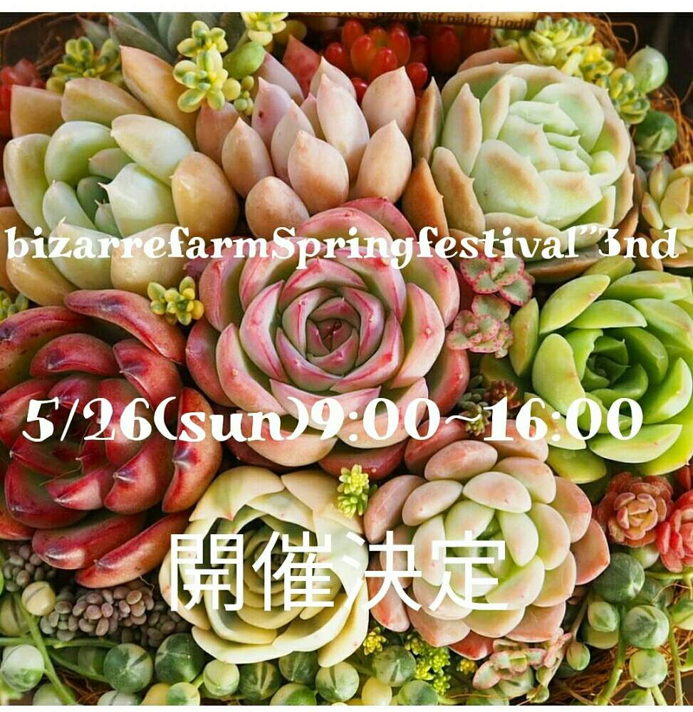 お出かけ先の画像 by bizarrefarmさん | お出かけ先とbizarrefarmとsucculentとビザールファームとリメイク鉢とセダム属と多肉植物と多肉男子と植物屋と植物のある暮らしと韓国多肉とエアープランツ☆と道の駅いちごの里と多肉ちゃんとbotanicalとplantsと多肉女子と多肉植物とサボテンと塊根植物と珍奇植物とgreenと古道具とリメイク缶と多肉寄せ植えとGreensnapとアガベ属とEcheveria