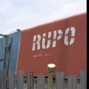 RuPo  多肉専門店
