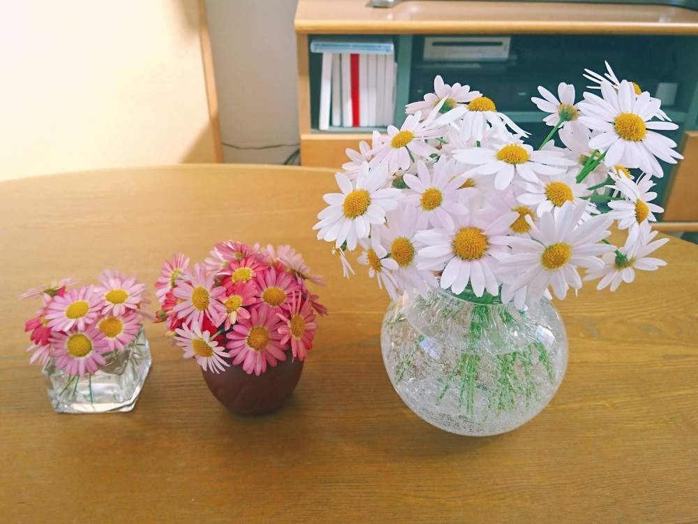 部屋の画像 by ココさん | 部屋と花のある暮らしと可愛いと好きなお花とテーブル花