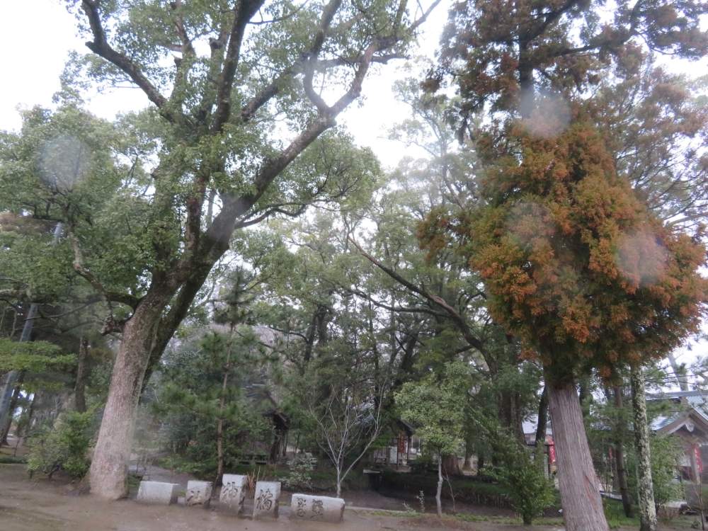 お出かけ先の画像 by ゆーちゃんさん | お出かけ先と神社仏閣と北関東グループと橘 神社 茂原市と@naturalと頑張れ北海道‼と花のある暮らし