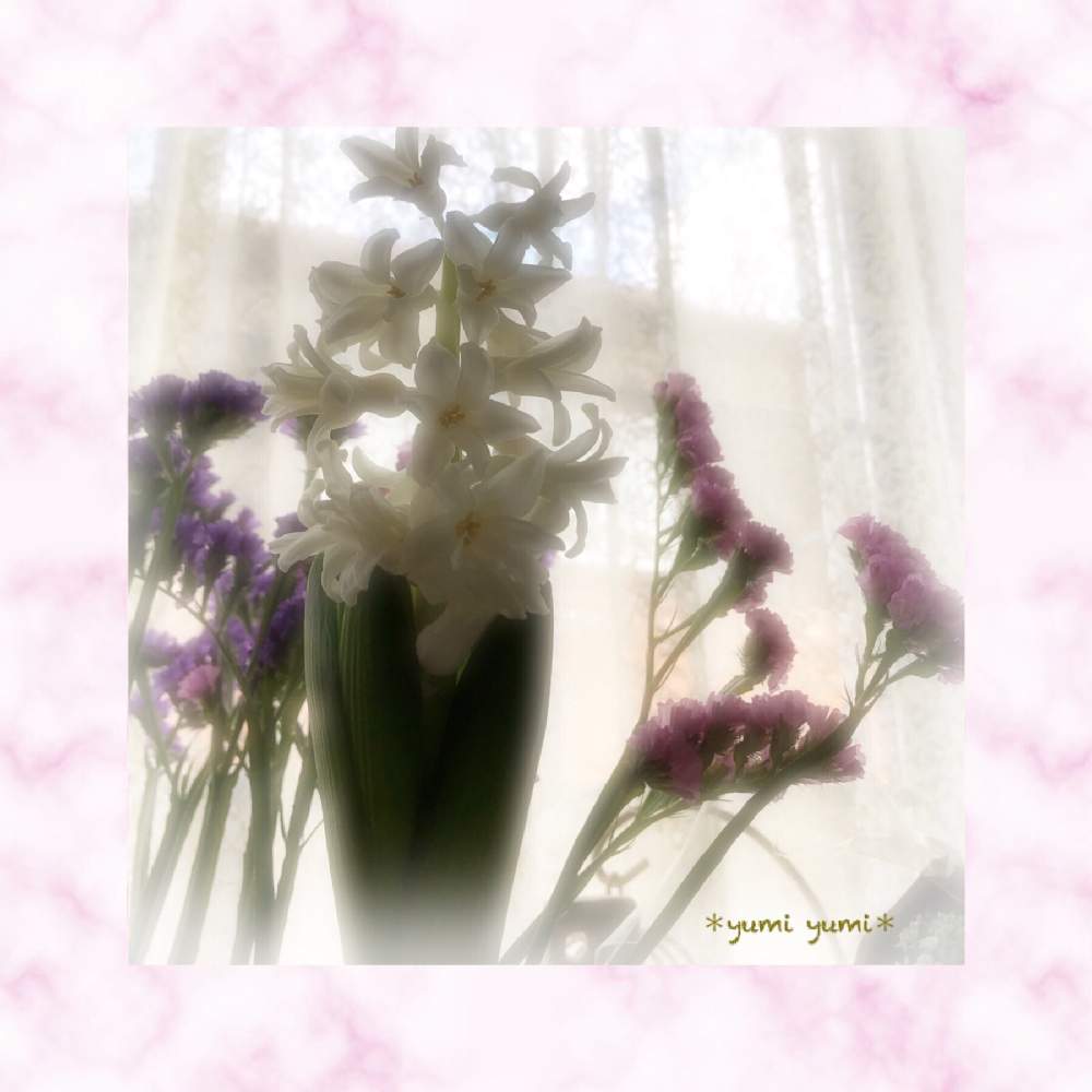 部屋の画像 by *yumi yumi*さん | 部屋とヒヤシンスの水耕栽培とキュンキュン乙女倶楽部とお疲れ様です♡と東北、北海道に光をとヒヤシンスの花と水耕栽培中と花のある暮らしと『ひとりじゃない、繋がろう』と良い香りと白いヒヤシンス