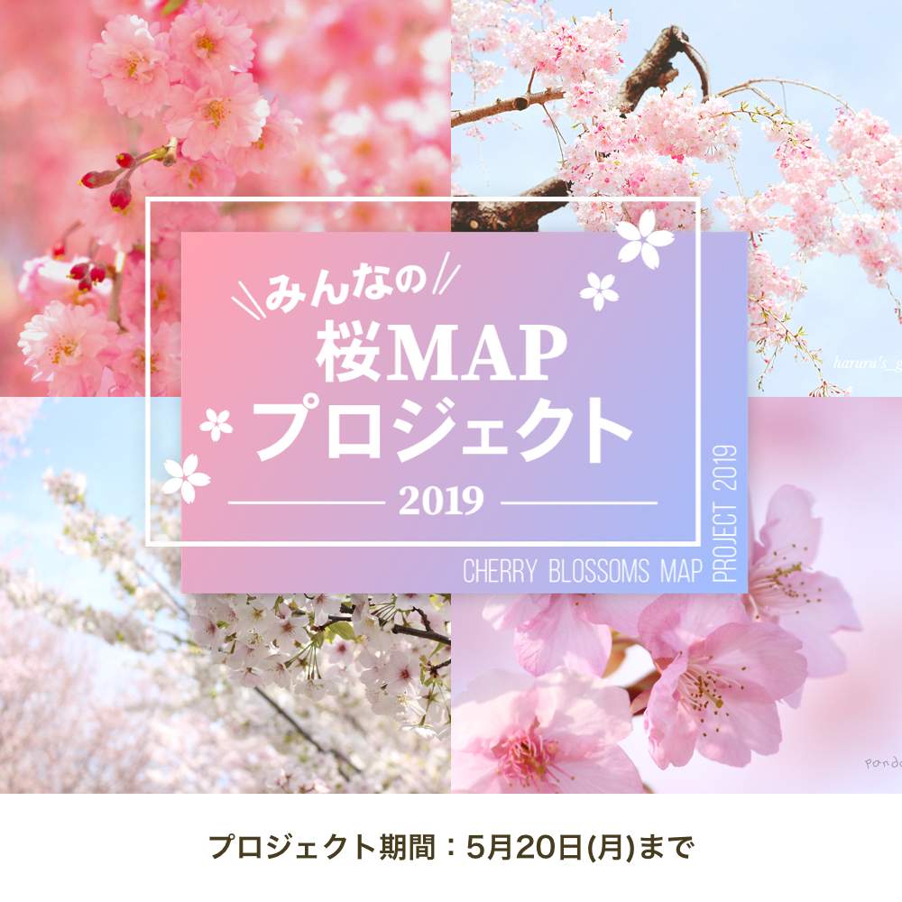 お出かけ先の画像 by GreenSnap公式さん | お出かけ先とさくら 桜 サクラ