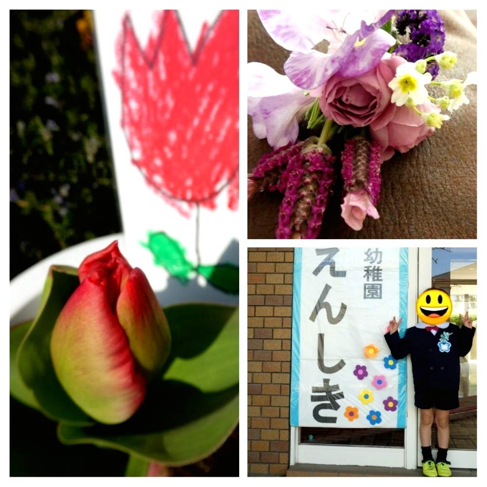 お出かけ先の画像 by aaさん | お出かけ先とチューリップとみどりのある暮らしと春のお花とお庭の植物ときれいな色と鉢植えと九州北部と花のある暮らしとかわいいとこどもの作品