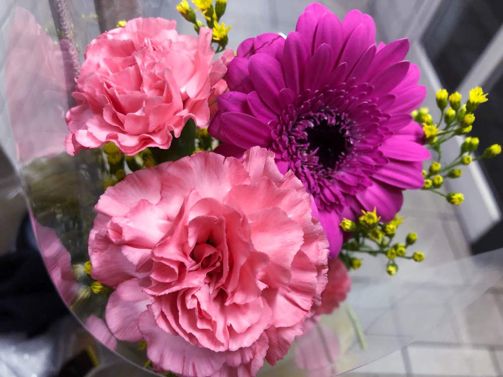 の画像 by Rさん | カーネーションと花のある暮らしとお花屋さんとお花と花束とはるが来た!とドライフラワーとGS映え