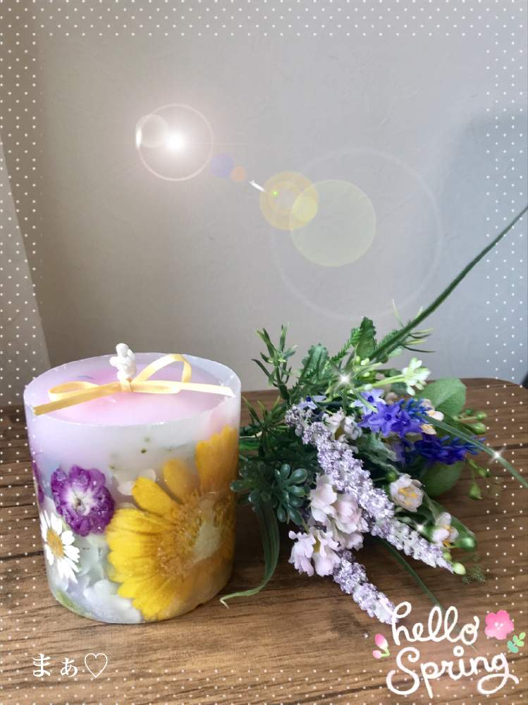 お出かけ先の画像 by まぁ♡さん | お出かけ先と花のある暮らしと押し花ボタニカルキャンドル♪とガーベラ♪とビオラ♪