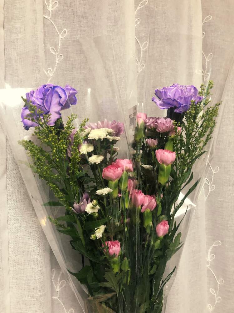 部屋の画像 by tirolchocoさん | 部屋とHCと紫色カーネションとカインズと春らしいと綺麗とお彼岸と花のある暮らしと切り花と花束