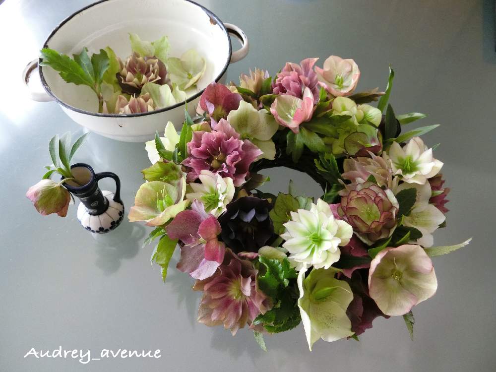 部屋の画像 by Audreyさん | 部屋とクリスマスローズとお気に入り♡と『早春に咲いた花』フォトコンテストとナチュラルガーデンと今日の一枚とDIYとナチュラルスタイルとフラワーアレンジメントと12月生まれ♪と花のある暮らしと大人かわいい♪とポーランド食器とアンティーク雑貨と雑貨好き♡と庭仕事とテーブルリースとクリスマスローズリースとお庭を彩るお花・樹木フォトコン