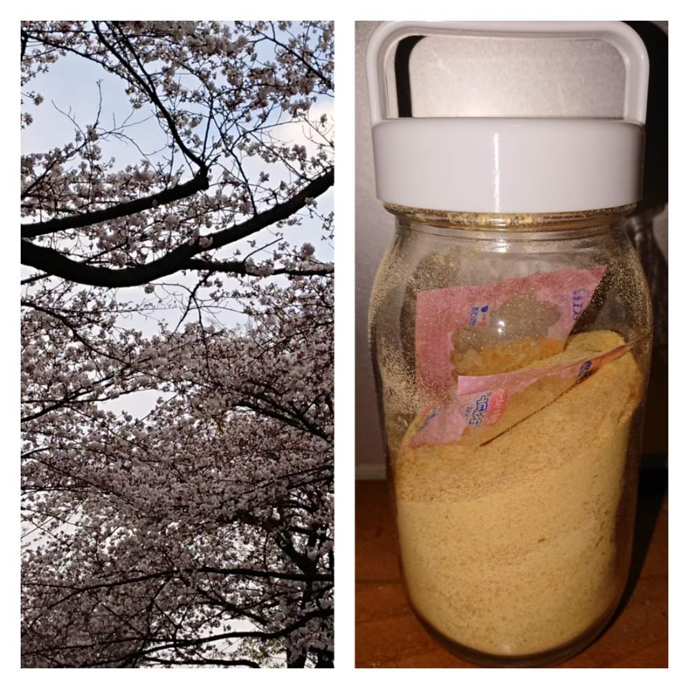キッチンの画像 by たまさん | キッチンと(*゚▽゚)ノ日本と東北、北海道に光をとノーモア自粛と黒ニャンコ隊とGSと北の大地北海道とGreen &PETS を愛する会とGS映えと皆さんありがとうございますとアライグマ退治と春が(๑`ᗨ´๑)ڡ 来ーるー!!!と保護猫とthe埼玉と花のある暮らしと地球がプンプン丸と気の合う仲間と猫のいる暮らしと北海道150年と頑張れ!厚真町