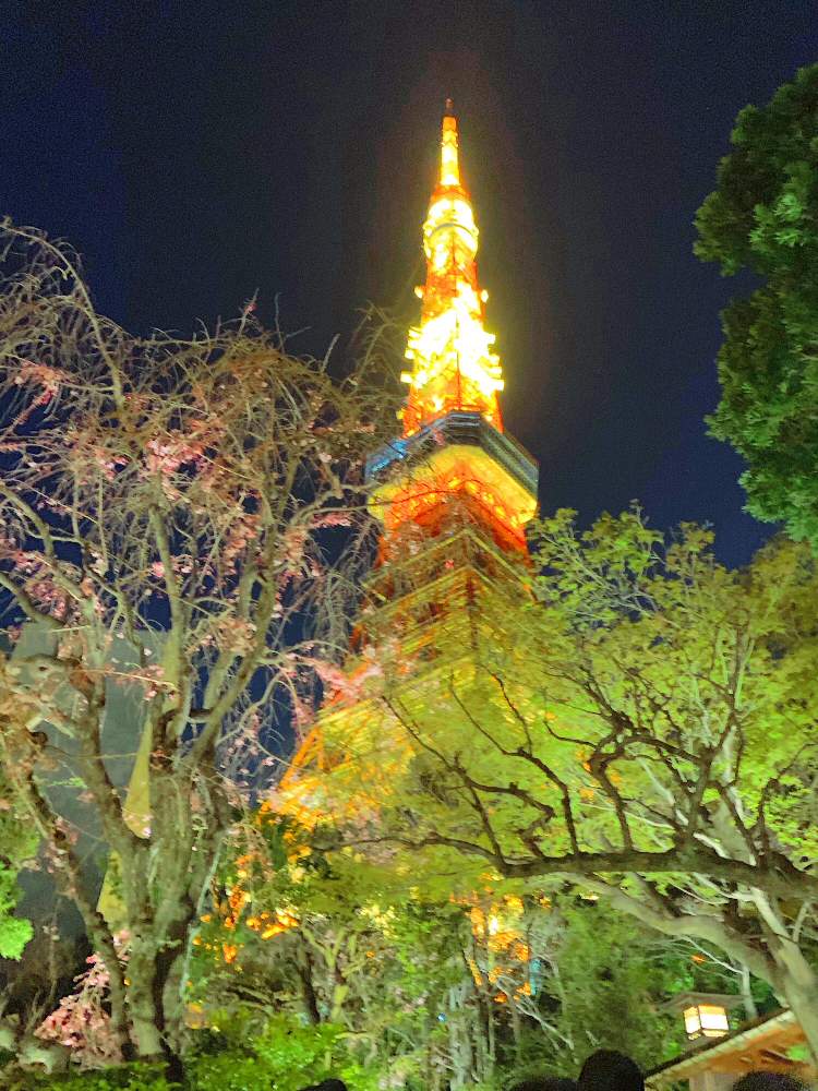 お出かけ先の画像 by チャーさん | お出かけ先と野の花とチャーさんのリポートと日本庭園とチャーさんの 里山歩きとノハラーと夜桜