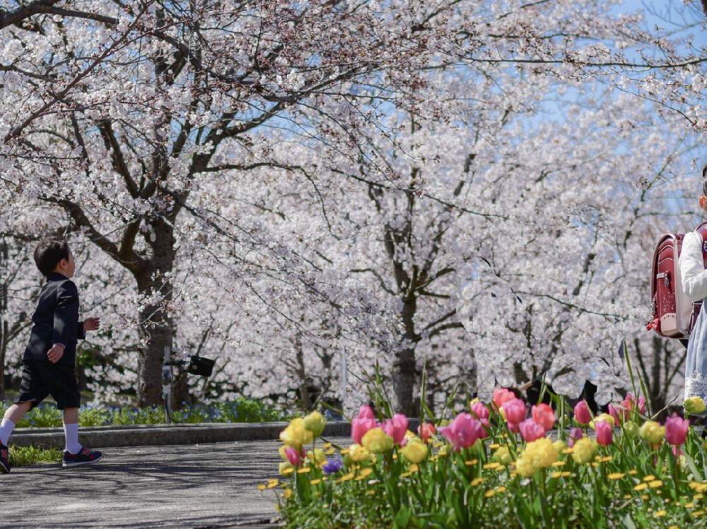お出かけ先の画像 by あーるさん | お出かけ先とボタニカルスポット2019春とmyphotoとボタニカルライフと写真撮影と4月と癒しとわたしメモと今日の一枚とていねいに暮らすとさくら広場と今日の花と花のある暮らしとweekendflower