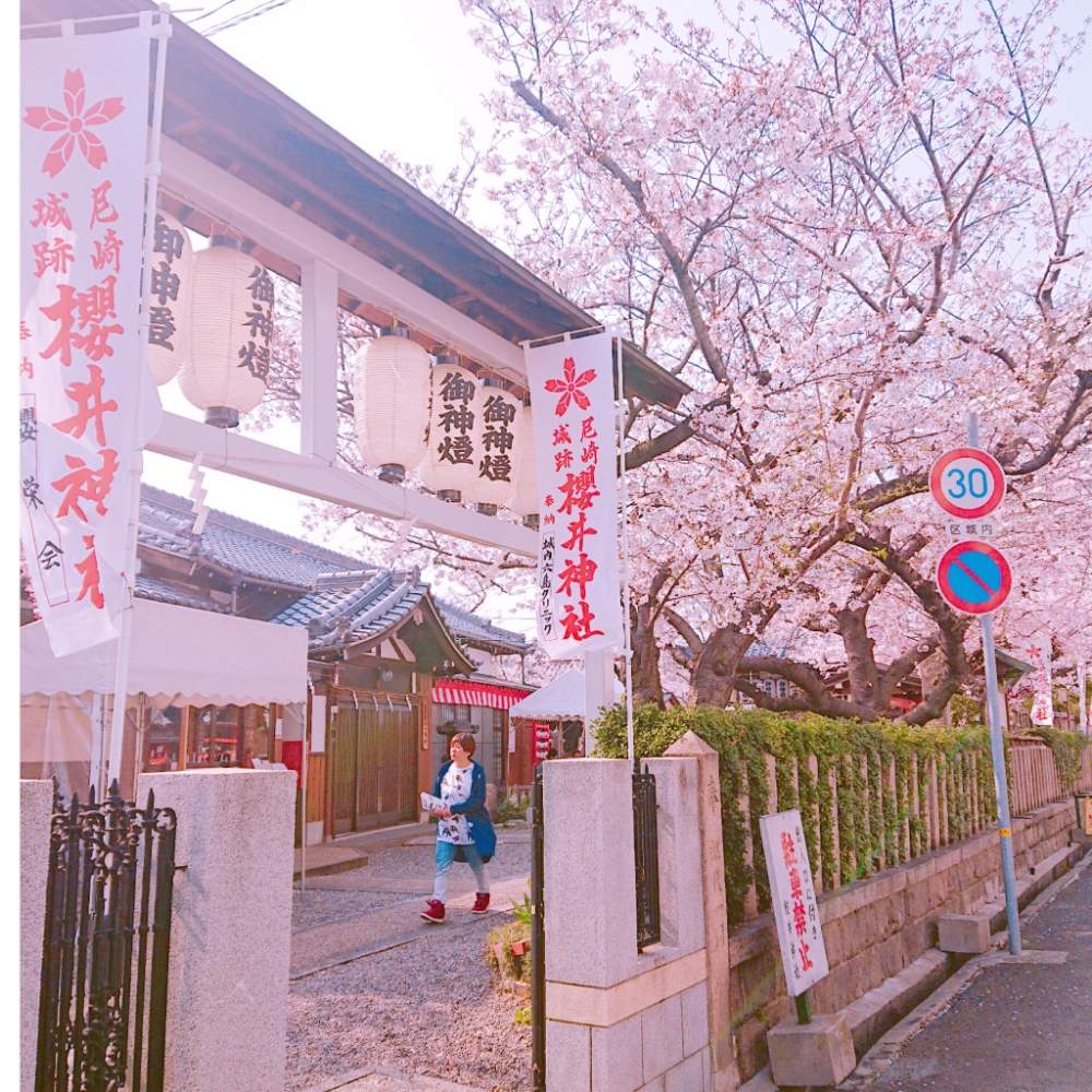 お出かけ先の画像 by okameさん | お出かけ先と『2019桜』フォトコンテストとGS映えとcherryblossomと桜 さくら サクラサクと櫻井神社-桜マップ2019-