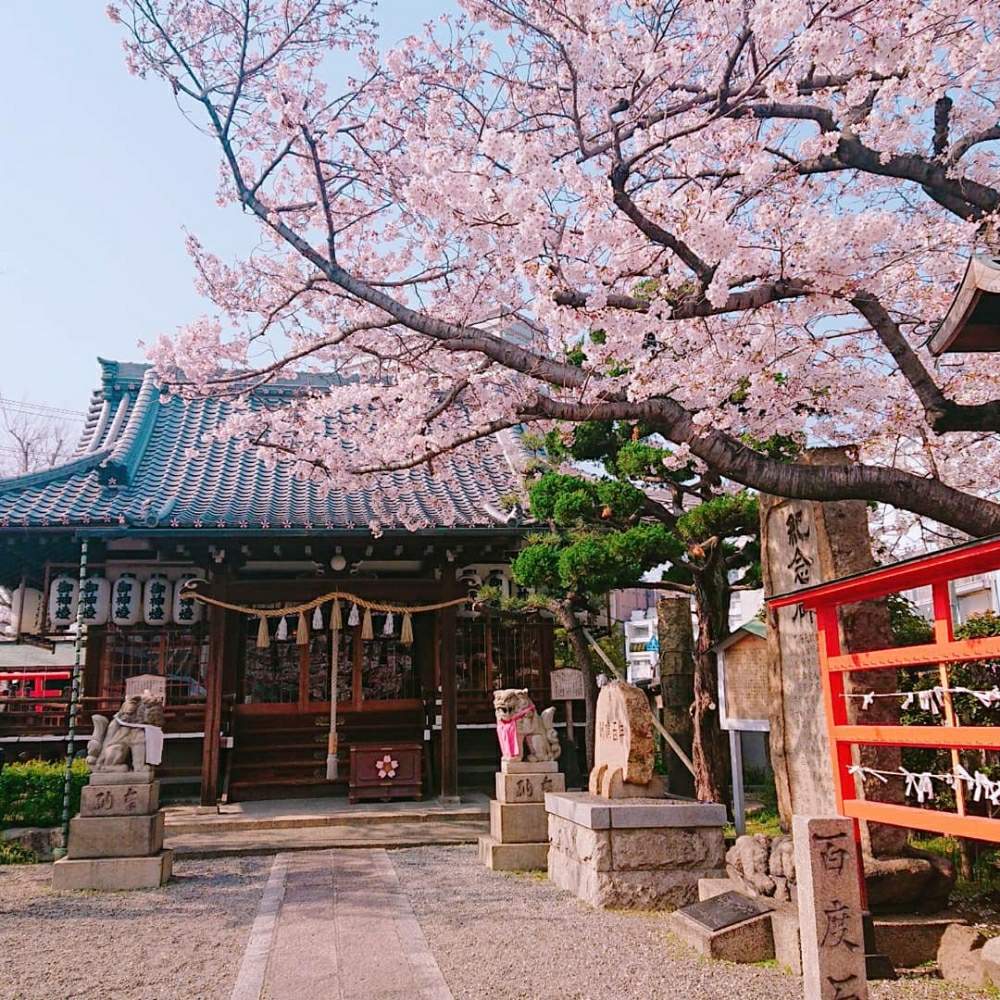 お出かけ先の画像 by okameさん | お出かけ先と『2019桜』フォトコンテストと櫻井神社-桜マップ2019-と桜 さくら サクラサクとcherryblossom