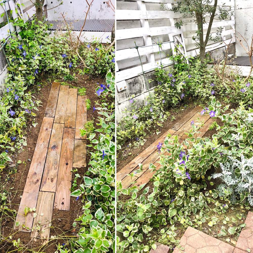 広い庭の画像 by 松 祐さん | 広い庭と枕木と今日の一枚とDIYとガーデニングと花のある暮らしと作ってみた