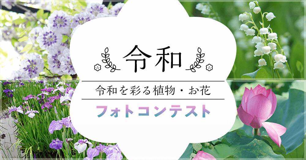 【記念フォトコン】令和を彩る植物・お花コンテスト