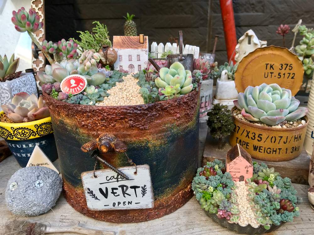 玄関の画像 by なおみさん | 玄関と多肉植物と雰囲気づくりとセダム!とサビサビと多肉箱庭とジャンクとわが家の多肉スペースと多肉植物寄せ植えと多肉いじりたいと もこもこと癒し空間とGreenSnapMarche YOKOHAMA2019とGreenSnapmarcheと可愛いと古道具とジャンクガーデンと多肉植物 エケベリアと可愛い鉢