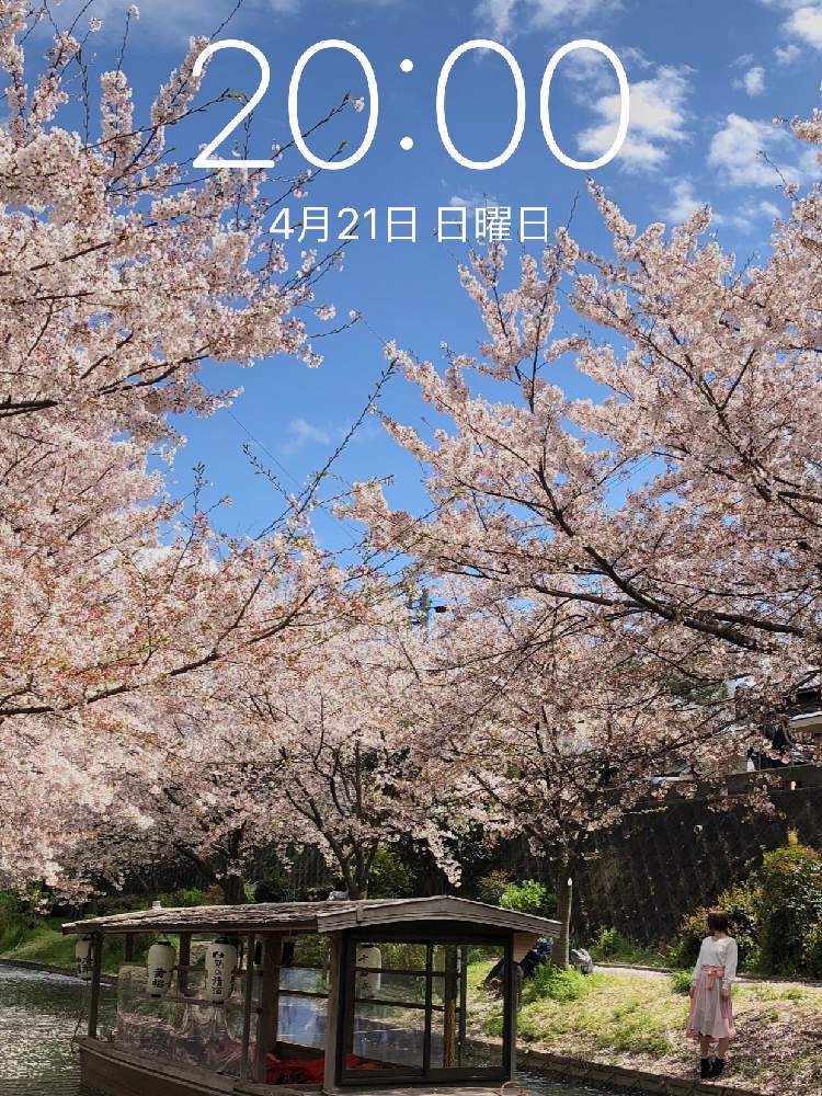の画像 by みー♡♡さん | 壁紙祭り2019春と古都を散策