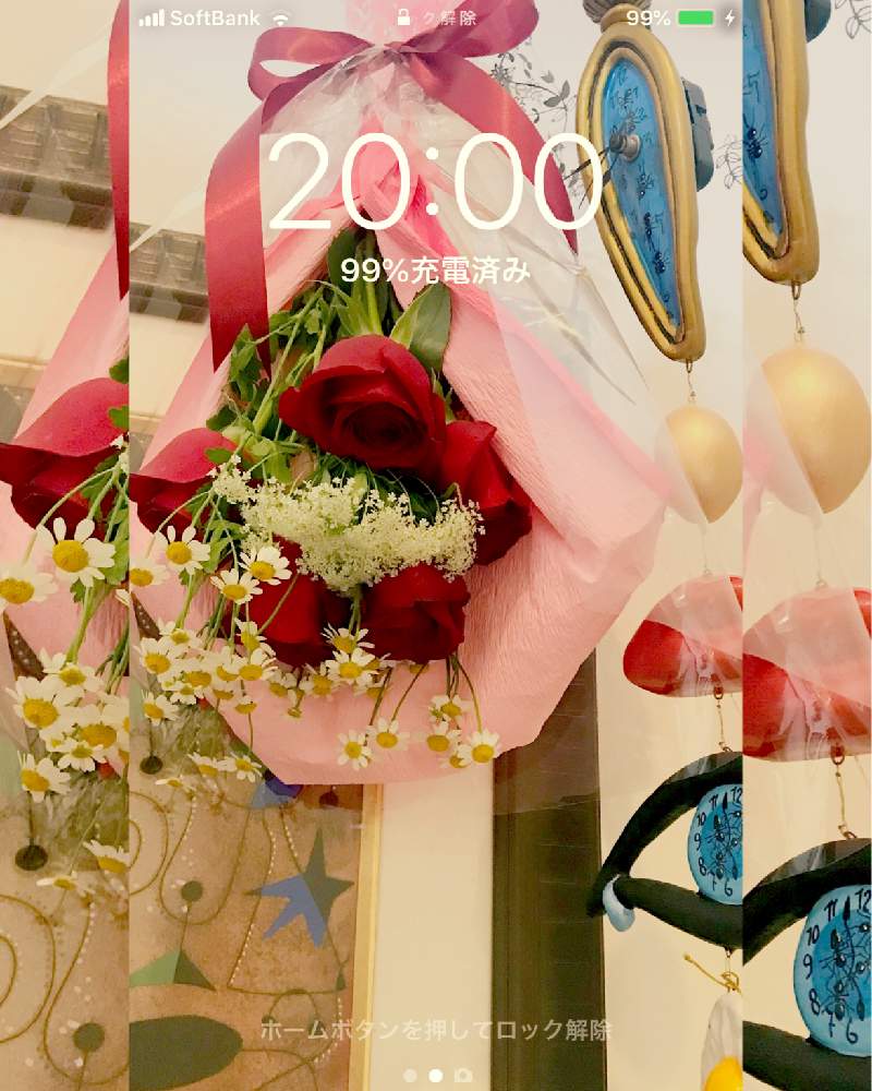 階段/廊下の画像 by 茶々のお庭さん | 階段/廊下とバラとマトリカリアとHTCと壁紙祭りと壁紙祭り2019春と【こまち多肉部】とゆるキャラ倶楽部と切り花とサン・ジョルディの日